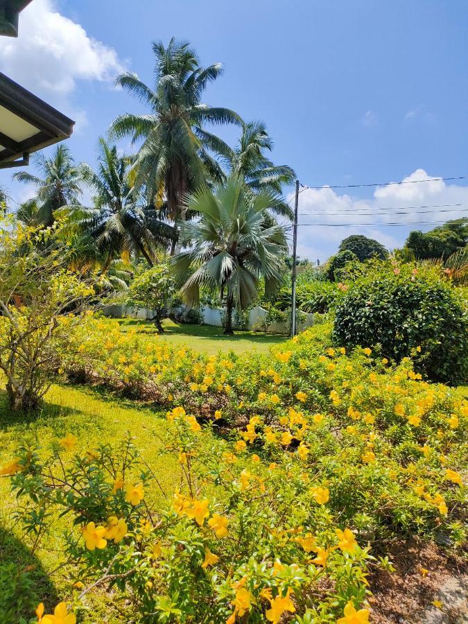 Villa Luana Yuna Au Cap Exteriér fotografie