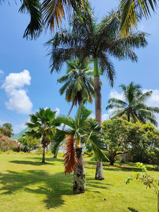 Villa Luana Yuna Au Cap Exteriér fotografie